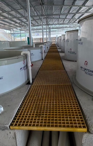 工厂化养殖
——